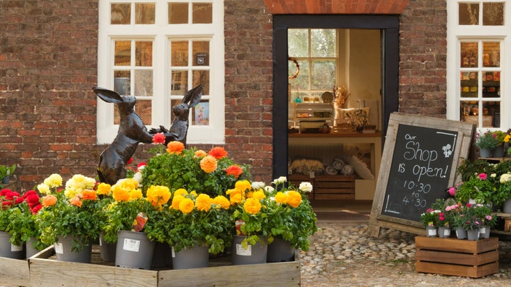 A view of the shop door with plants in the foreground at Ham House and Garden, London